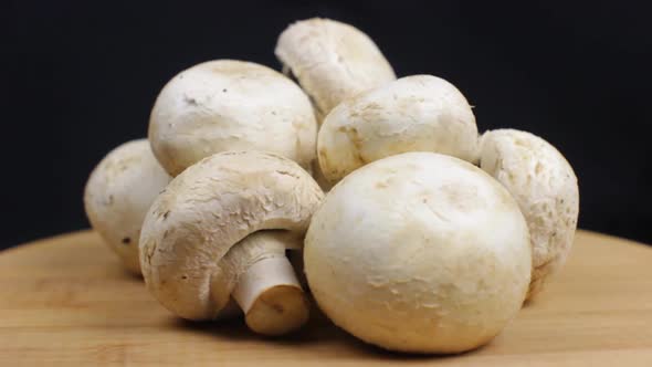 Agaricus Mushrooms Rotating