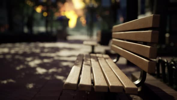 Empty Park After Park is Closed Due to Coronavirus Covid19 Pandemic Outbreak alt