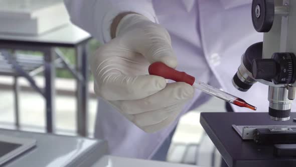 Scientist Work with Science Equipment in Laboratory