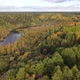 Summer Early Autumn in Forest Aerial Top View - VideoHive Item for Sale