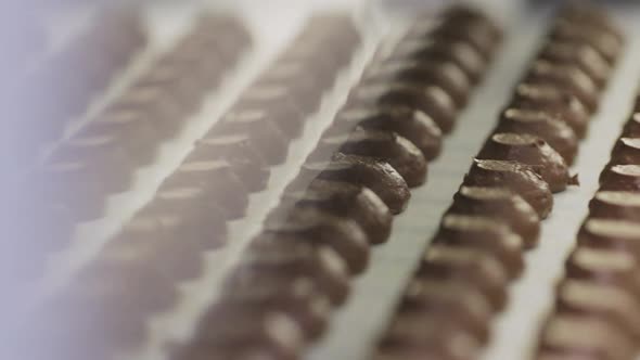 Rows of Chocolates Without Wrappers