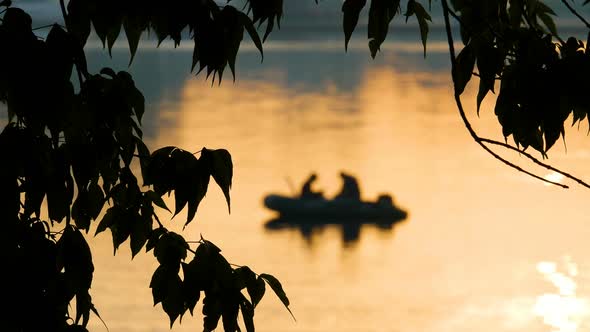 Fishing in Golden Morning