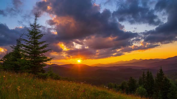 The Mountain Forest on the Background of the Sunset