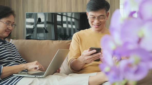 smiling elder mature grandparents family embracing lifestyle