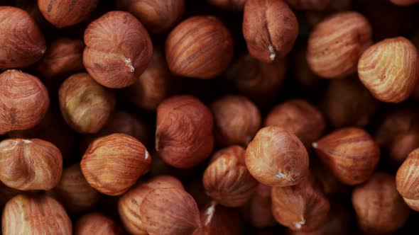 Super Slow Motion Detail Shot of Flying and Rotating Hazelnuts at 1000 Fps