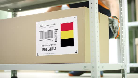 Storage Employee Takes Away a Carton with Goods From Belgium