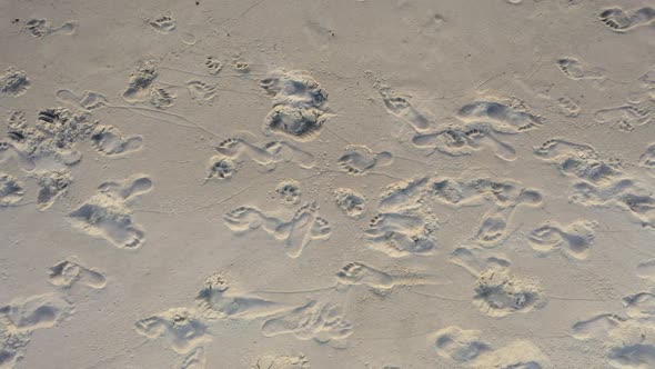 AERIAL: Top View Shot while Panning of Human Footprints in the Sand 