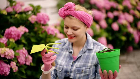 Happy Woman Gardener Planting Flowers Hydrangea in Sunny Summer Garden