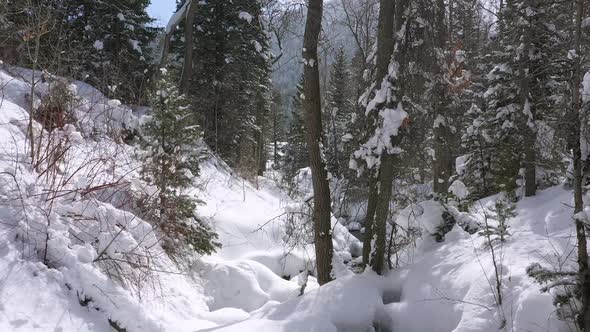 Flying through deep snowy forest landscape with small river flowing through