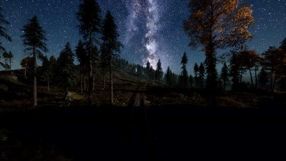 The Milky Way Above the Railway and Forest