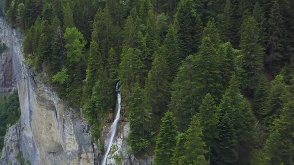 Aerial dolly out of green dense pine forest revealing Staubbach falls streaming down a steep rocky c