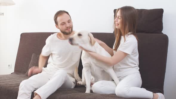 Lovely Caucasian Couple Sit on Sofa Wit Their Pet, White Dog