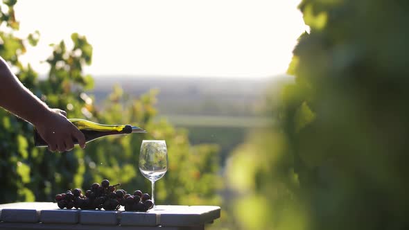 Pouring Wine