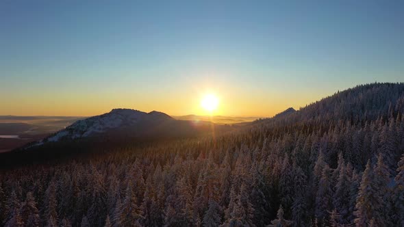 Dvuglavaya Mountain and Coniferous Forest