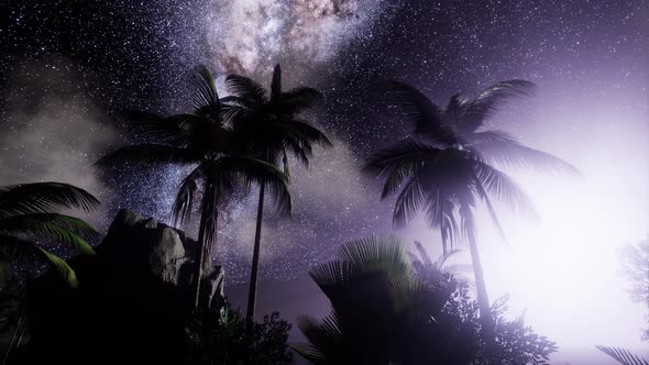 Milky Way Galaxy Over Tropical Rainforest.