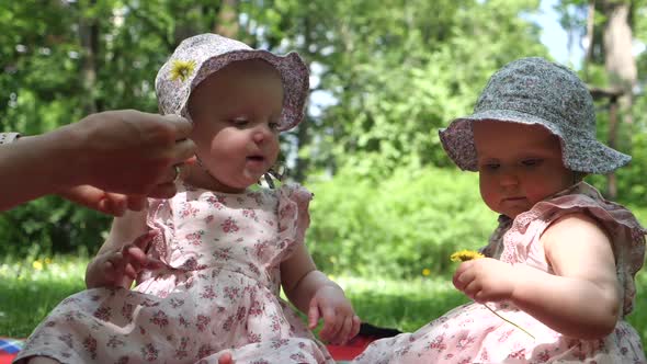 Twin Sisters in a Park