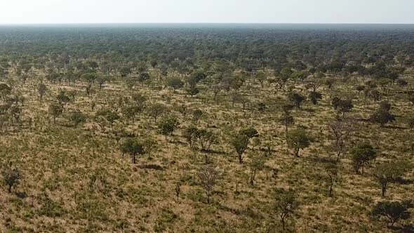 Aerial View  the Savannah, Kalahari Namib Desert Botswana, Africa. Dron Shot