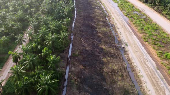Aerial view land clearing near oil palm