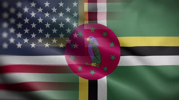 USA Dominica Flag Loop Background 4K