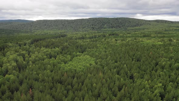 Aerial Top View. Drone Flight Over Green Hills and Forest