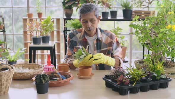 Agriculture concept. A retired man doing hobbies at home