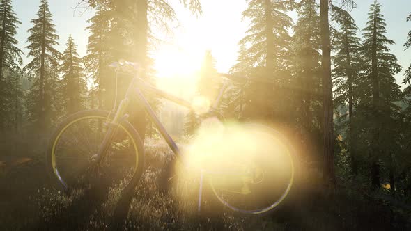 Bicycle in Mountain Forest alt