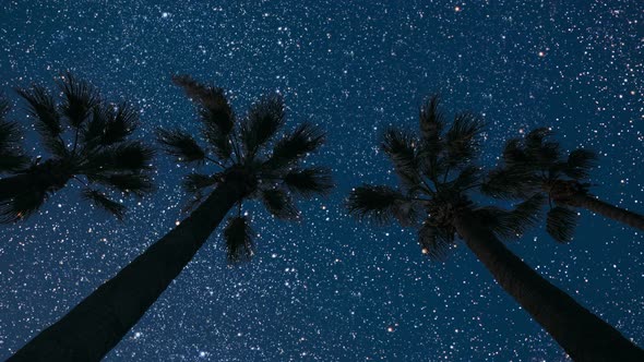 backgrounds night sky in sea with palm and stars and moon and clouds.