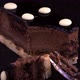 Chocolate almond cake - VideoHive Item for Sale