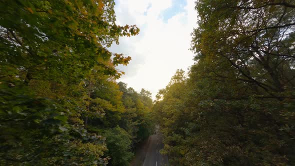 Aerial View of the Autumn Forest Near the Road Along Which the Cars are Driving