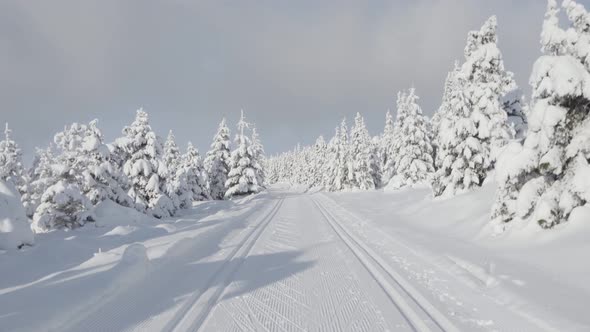 POV  a Person Walks Through a Snowcovered Winter Landscape