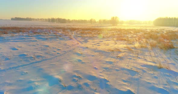 Aerial Drone View of Cold Winter Landscape with Arctic Field, Trees Covered with Frost Snow