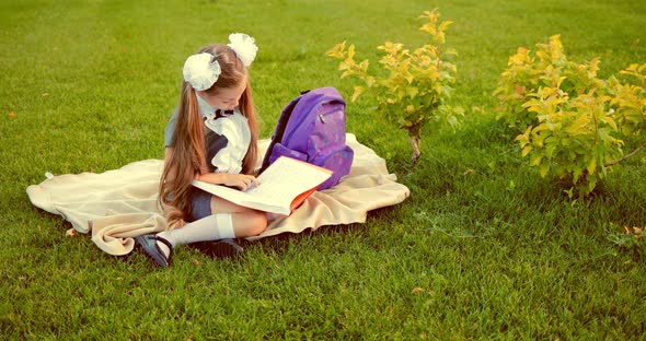 Beautiful Girl Sitting in the Park on the Grass and Reading a Book