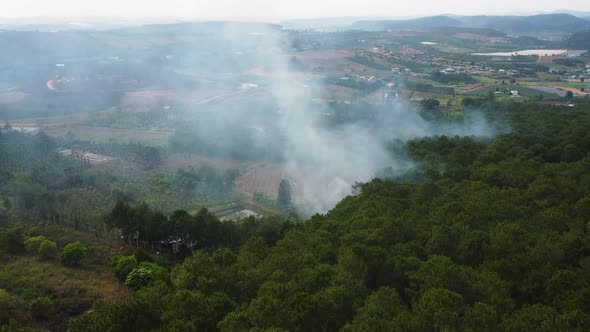 Aerial, forest burning in rural farmland causing white smoke. Climate change. global warming, natura