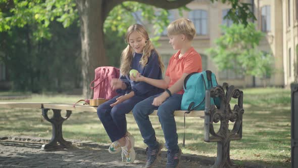 Wide Shot of Charming Boy and Girl Sitting on Bench at Schoolyard. Cute Caucasian Schoolboy Giving