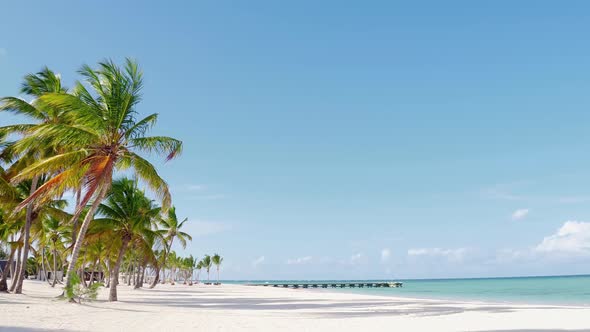 Hawaii Palms Beach White Sands Blue Sea