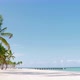 Hawaii Palms Beach White Sands Blue Sea - VideoHive Item for Sale