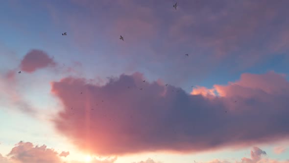 Clouds And Birds