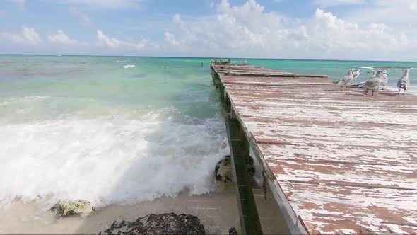 Moving sideways over an old vintage pier on a tropical beach in the Caribbean.