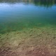 Common Rudd Fish in Plitvice Lakes National Park - VideoHive Item for Sale