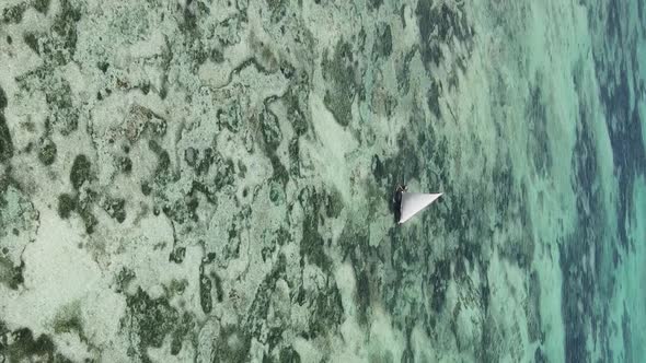 Vertical Video Boats in the Ocean Near the Coast of Zanzibar Tanzania Aerial View