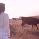 Beautiful Tranquil Redhead Woman in White Dress Walking with Cow and Calf Herd on the Golden Field - VideoHive Item for Sale
