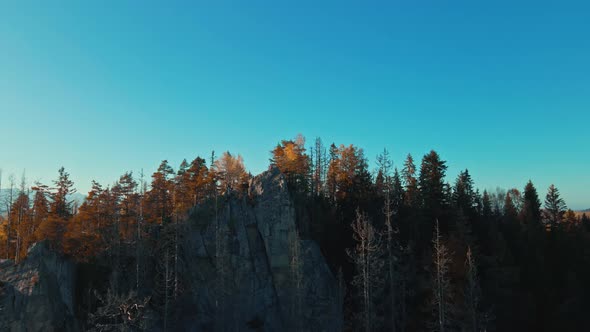 Epic Drone Footage Aerial Magnificent View Beautiful Landscape with Foliage Forest on Mighty