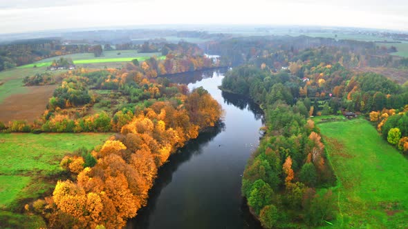 Forest and autumn rriver, view from above