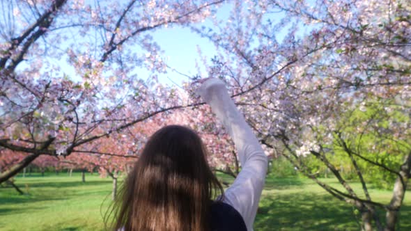 Girl walking in Japanese Garden with blooming trees. Young woman with long hair enjoys spring