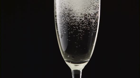 Champagne Foam in a Glass on a Black Background. Close Up