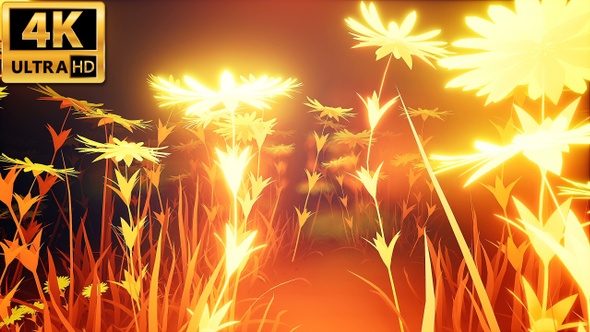 Light Glow Flowers 4k