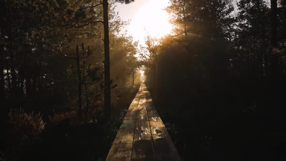 Pan Up at Mysterious Wooden Pathway with Morning Sunlight