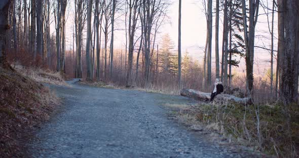 Female Tourist Walking on a Trail in Mountains