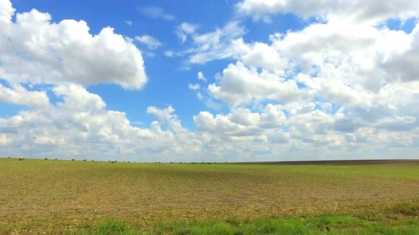 Hay bales as far as the eye can see, across the big Texas sky.  Farmers get one last harvest in befo