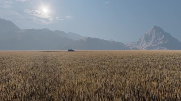 Car Driving Next To Field